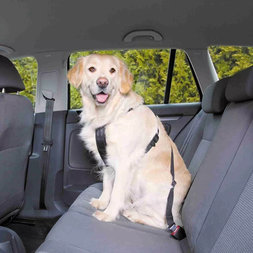 Arnes de seguridad para llevar perros en el auto - Viaje Seguro - Correa -  Pet Shop Tuc