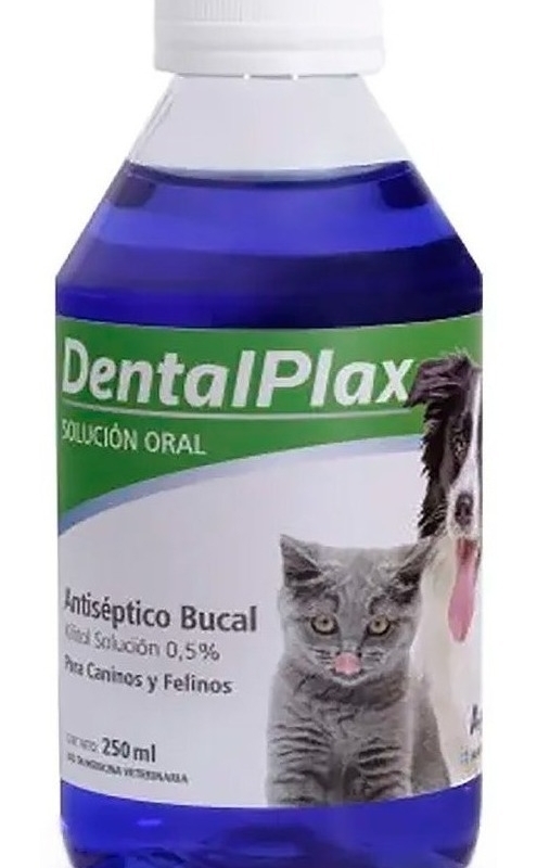 DENTAL PLAX X 250 CC