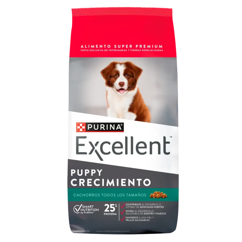 EXCELLENT PUPPY DEVELOPMENT  - 20KG