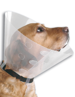 collar isabelino nº 5