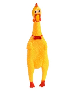 pollo griton mediano