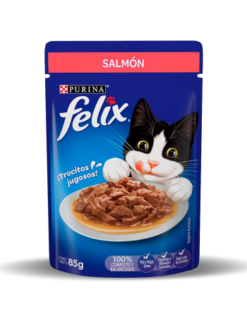 Pouch Felix Classic Salmon x 85 Grs