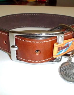 Collar Suela Anilina Nº6 Blondi