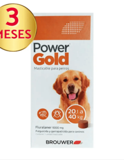 POWER GOLD 20 a 40 KG