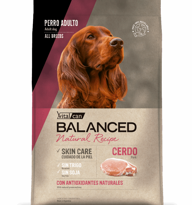 VITAL CAN NATURAL RECIPE PERRO ADULTO SABOR CERDO X 3 KG