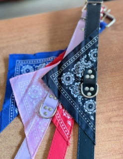 COLLAR CON BANDANA 3 CM PP