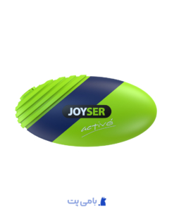 JOYSER PELOTA RUGBY CON CHIFLE VERDE
