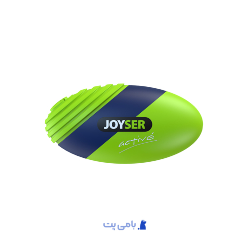 JOYSER PELOTA RUGBY CON CHIFLE VERDE