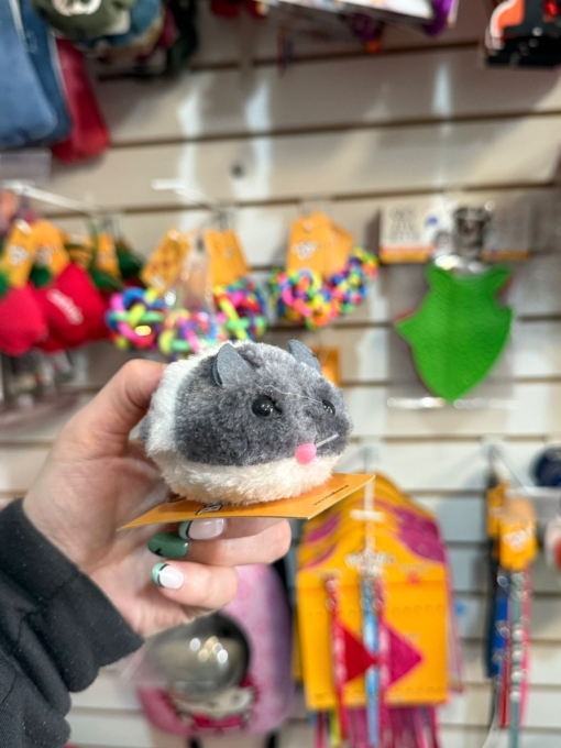 RATITA MOVIL