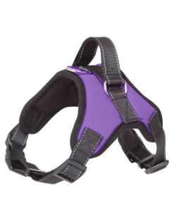 ARNES ACOLCHADO REGULABLE TALLE S PETS TOYS