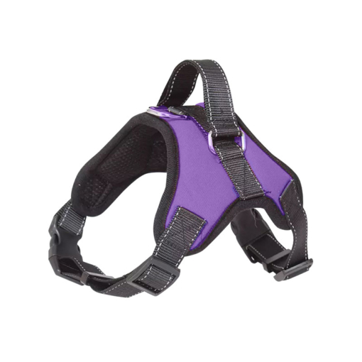 ARNES ACOLCHADO REGULABLE TALLE S PETS TOYS