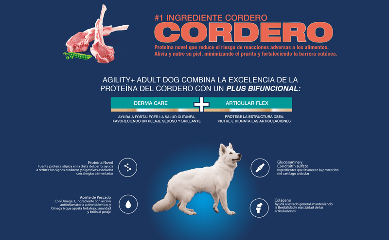 Alternative view of AGILITY CORDERO PERRO ADULTO x 15 KG