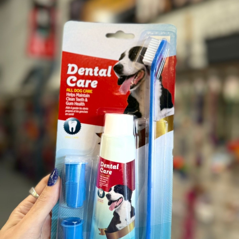 KIT DENTAL CARE