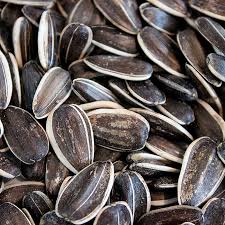 GIRASOL CONFITERO x 1 KG