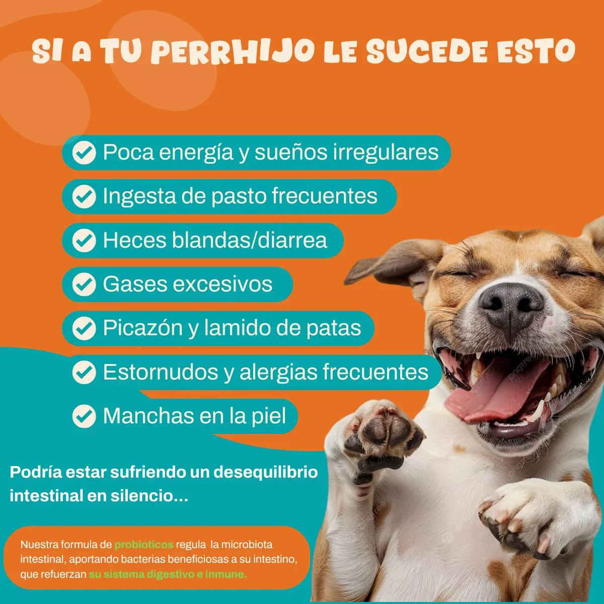 PROBIOTICOS PARA PERROS RUFFITOS x 240 GS - Imagen 6