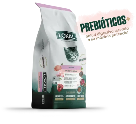LOKAL GATO BEBE x 3 KG