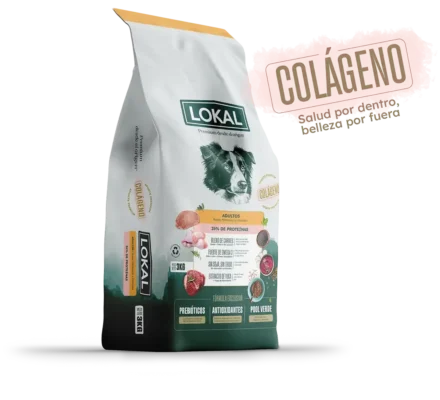 LOKAL PERRO ADULTO RAZA MEDIANAS Y GRANDES X 15 KG