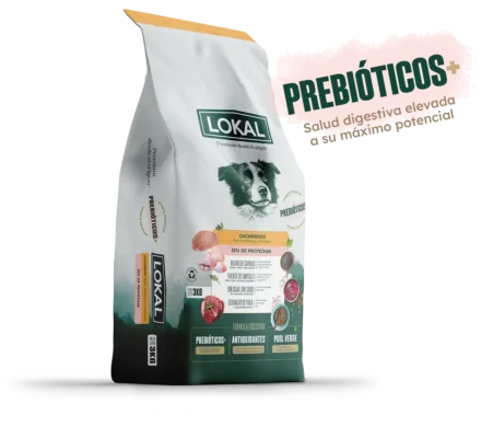 LOKAL CACHORRO MEDIANO Y GRANDE x 15 KG