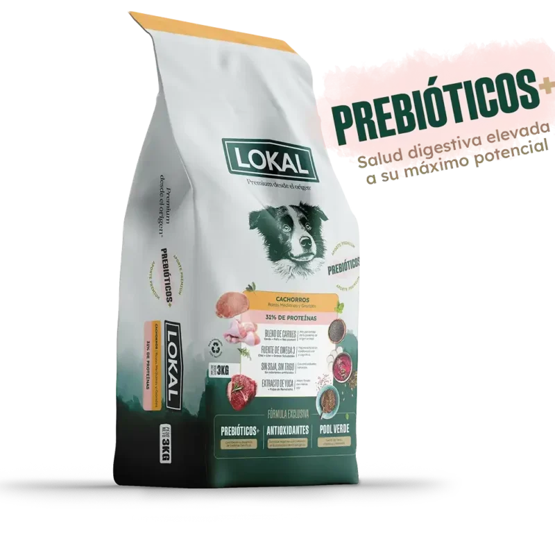 LOKAL CACHORRO MEDIANO Y GRANDE x 15 KG