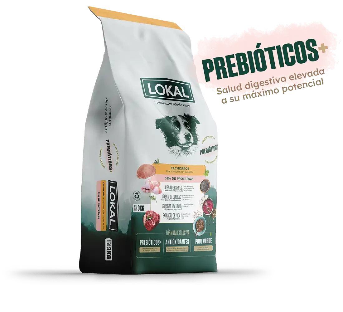 LOKAL CACHORRO MEDIANO Y GRANDE x 15 KG