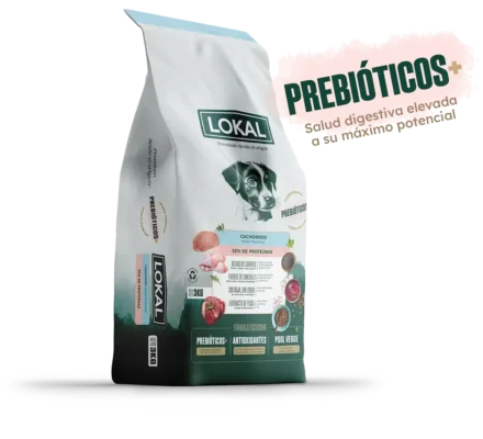 LOKAL CACHORRO PEQUEÑO x 7,5 KG