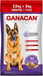 GANACAN ADULTO MIX x 22 +3 KG GRATIS