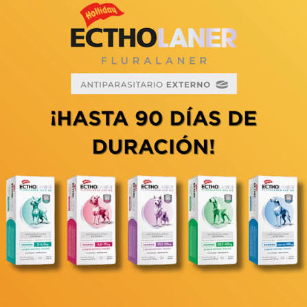 Alternative view of ECTHOLANER COMPRIMIDO PULGAS Y GARRAPATAS 90 DIAS 40,1 A 80 KG
