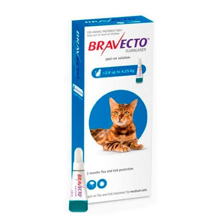 BRAVECTO GATO 2,8 A 6,25 KG