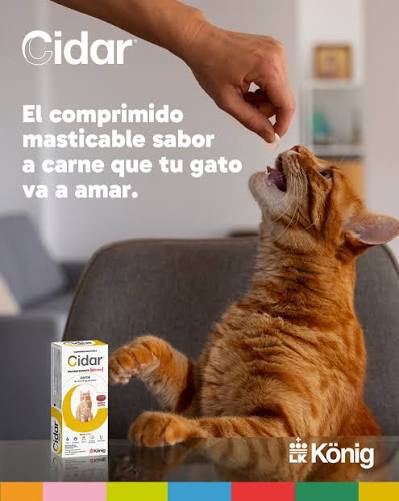 Alternative view of CIDAR GATO 3,1 A 6 KG COMPRIMIDOS ANTIPULGAS PALATABLES 60 DIAS DURACION