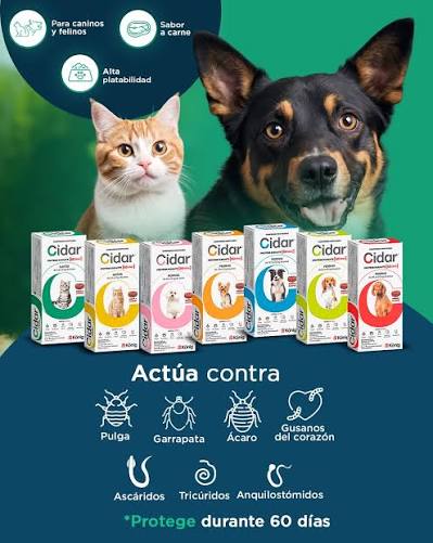 Alternative view of CIDAR GATO 12,1 A 25 KG COMPRIMIDOS ANTIPULGAS PALATABLES 60 DIAS DURACION