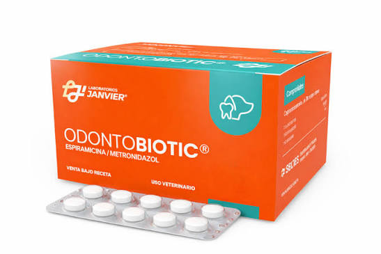 ODONTOBIOTIC BLISTER X 10 COMP