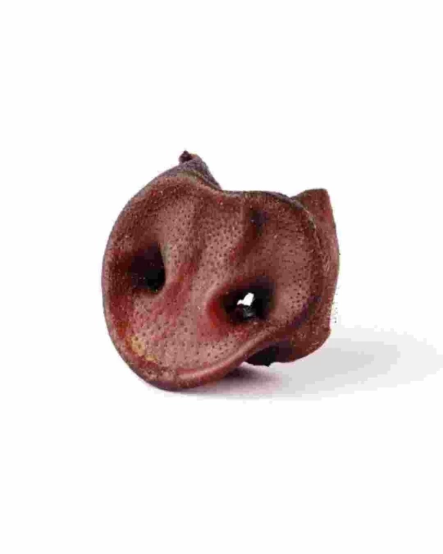 HOCICO CERDO NATURAL 10 UN