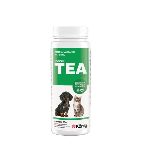 TEA POLVO X 80 GR