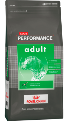 ROYAL CANIN CLUB PERFORMANCE DOG ADULTO X 20 KG