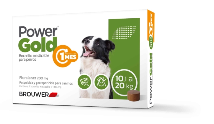 POWER GOLD 10 A 20 KG ( 1 MES )