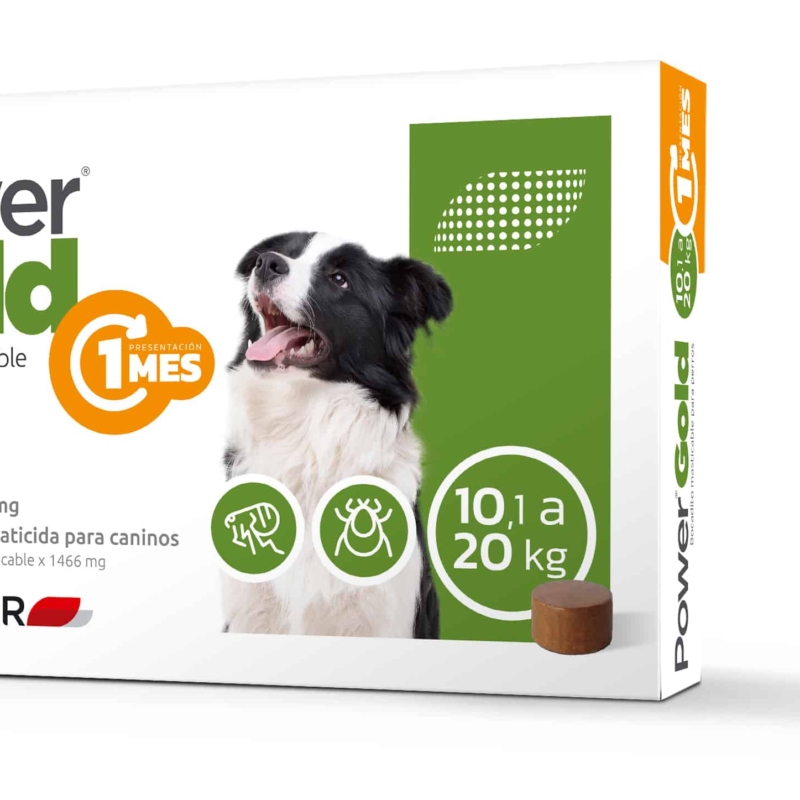 POWER GOLD 10 A 20 KG ( 1 MES )
