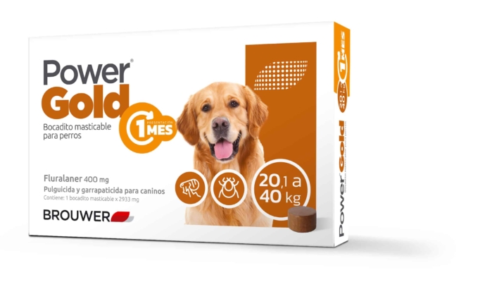 POWER GOLD 20 A 40 KG ( 1 MES)