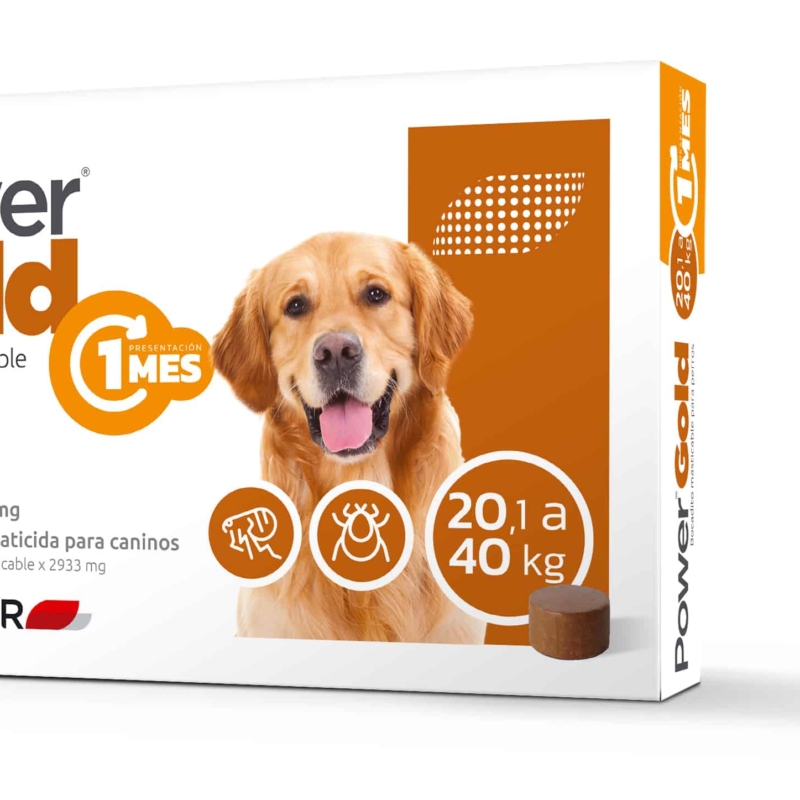 POWER GOLD 20 A 40 KG ( 1 MES)