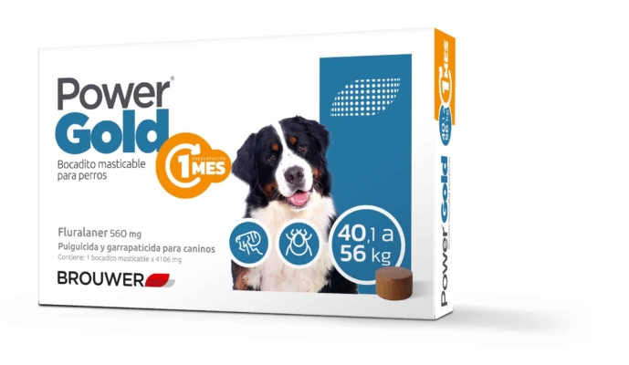 POWER GOLD 40 A 56 KG ( 1 MES)