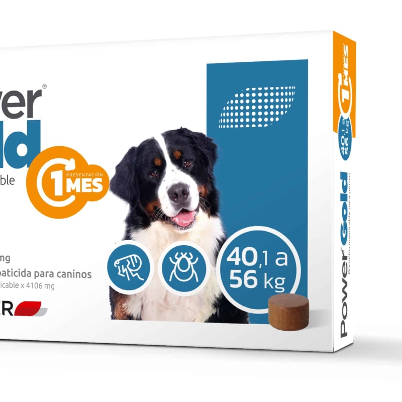 POWER GOLD 40 A 56 KG ( 1 MES)