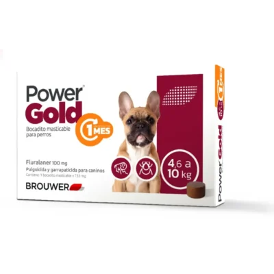 POWER GOLD 4.6 A 10 KG ( 1 MES )